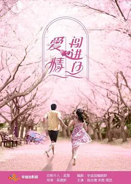 《爱情闯进门》：当霸道总裁爱上我，偶像剧的甜蜜陷阱，你准备好了吗？