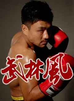 《武林风2017》赛事回顾：热血格斗的激情碰撞，谁是真正的中国力量？