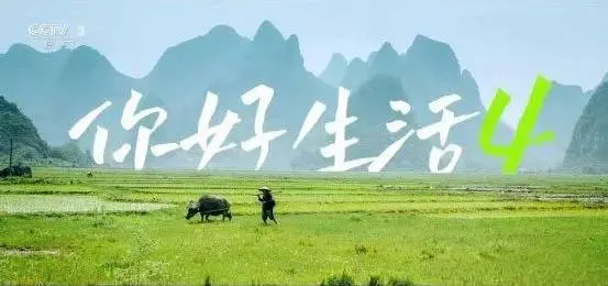 《你好生活 第四季》：治愈系综艺回归，看撒贝宁、尼格买提带你体验诗意生活！