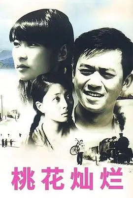2007年《桃花灿烂》：当年少女的“女生日记”，如今看来却别有一番滋味！